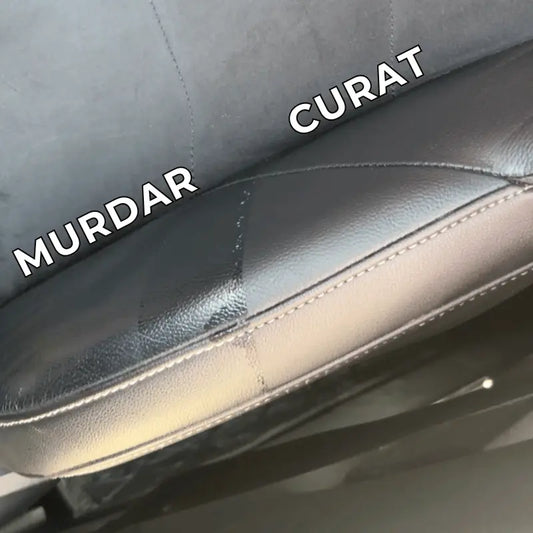 LEATHER CLEANER - SOLUTIE CURATARE PIELE Race Detail